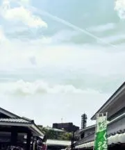 ちぇんの画像