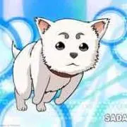 よっぴー