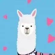 あるぱかの画像