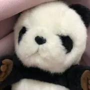 ぱんだ