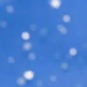 翠の画像