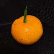 aruの画像