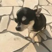ことみん