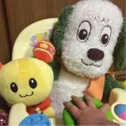 チャーミー