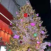 syの画像