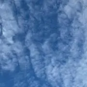 ぽこ