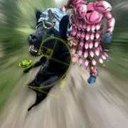 あかの画像