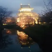 yajioの画像