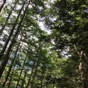 HD★の画像