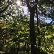 ちーの画像