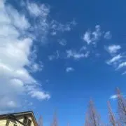 aikoの画像