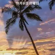 さとう