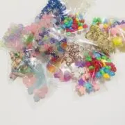 Chipの画像