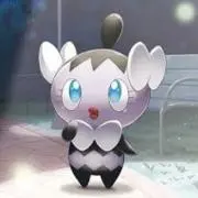 チムの画像