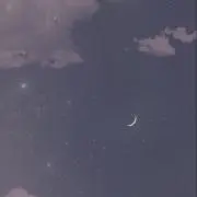 ねるの画像