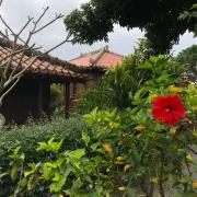 tripkoの画像
