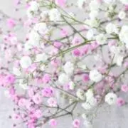 【7/24全品出品停止】みなみの画像