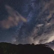 たもの画像