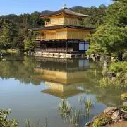 kaneko