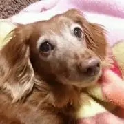 りら