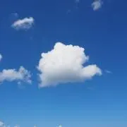 くもの画像