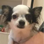 hidekichiの画像