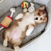 ☆ahsy★の画像