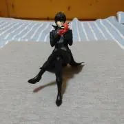 shulkの画像