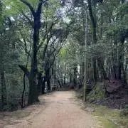 なりなり
