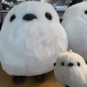 妙   プロフ必読の画像