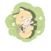 ノアの画像