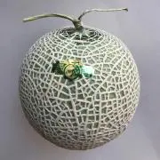 マスクメロンの画像