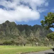 シゲゾー