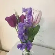 hananaの画像