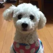 すみ♪