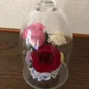まつの画像