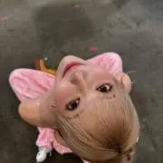 あの画像