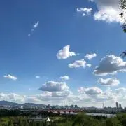 tomoの画像