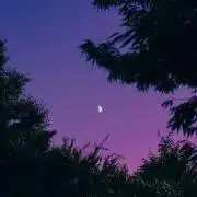 kの画像