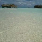 プロフ必読cocoの画像