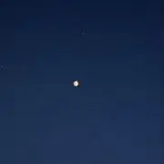 田中の画像