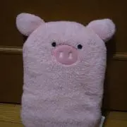ぶぅの画像