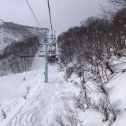 Snowの画像