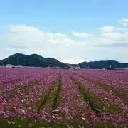 Pon★プロフィール絶対参照の画像