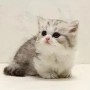maimai♡