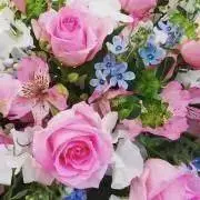 くりみ❁⃘次回発送7/8〜の画像