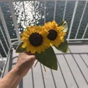 もなかの画像