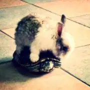 うさぎ。プロフィール必読♡の画像