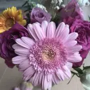 ⭐︎きらり⭐︎の画像