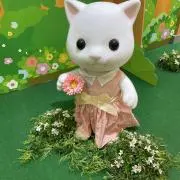 Mimiの画像